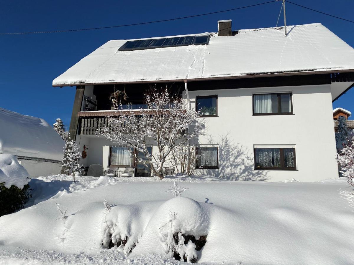 Haus Janssen-Wehrle Apartment ทิทิเซ-นอยชตัดท์ ภายนอก รูปภาพ