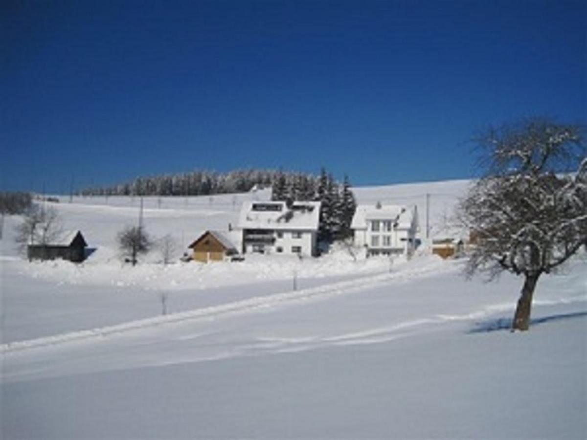 Haus Janssen-Wehrle Apartment ทิทิเซ-นอยชตัดท์ ภายนอก รูปภาพ