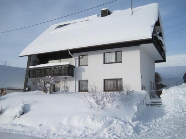 Haus Janssen-Wehrle Apartment ทิทิเซ-นอยชตัดท์ ภายนอก รูปภาพ